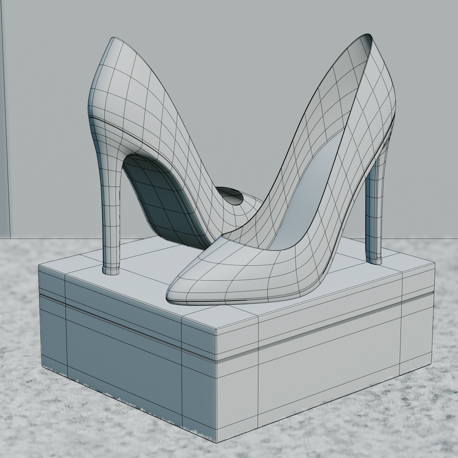 shoe